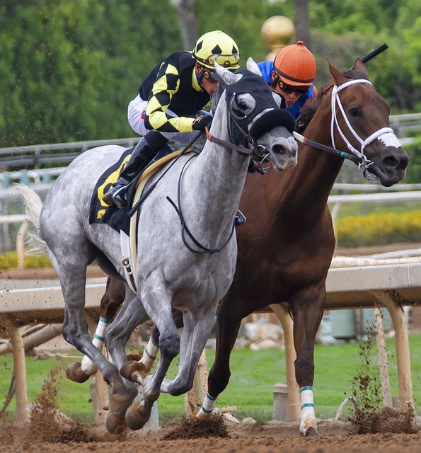 因素之一 因素之一