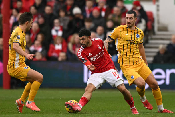 布克的控卫 布克的控卫