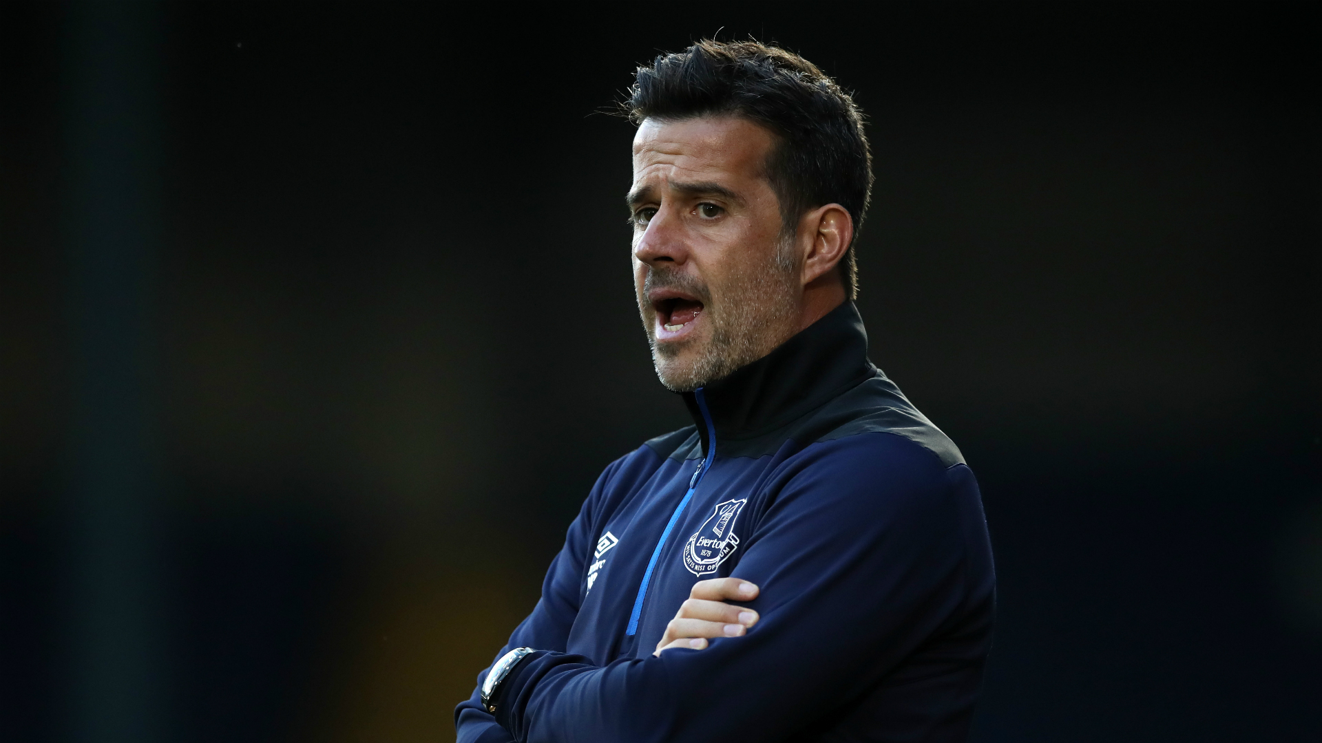 更具活力的 更具活力的